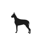 CurryFlow Dog Logo