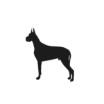 cropped-CurryFlow-Dog-Logo.png