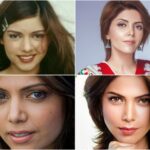 Hadiqa-Kiani-nose-job